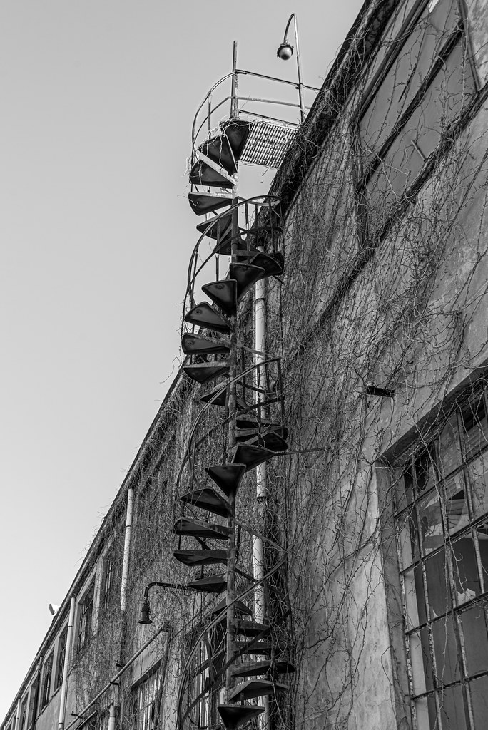Old ladder