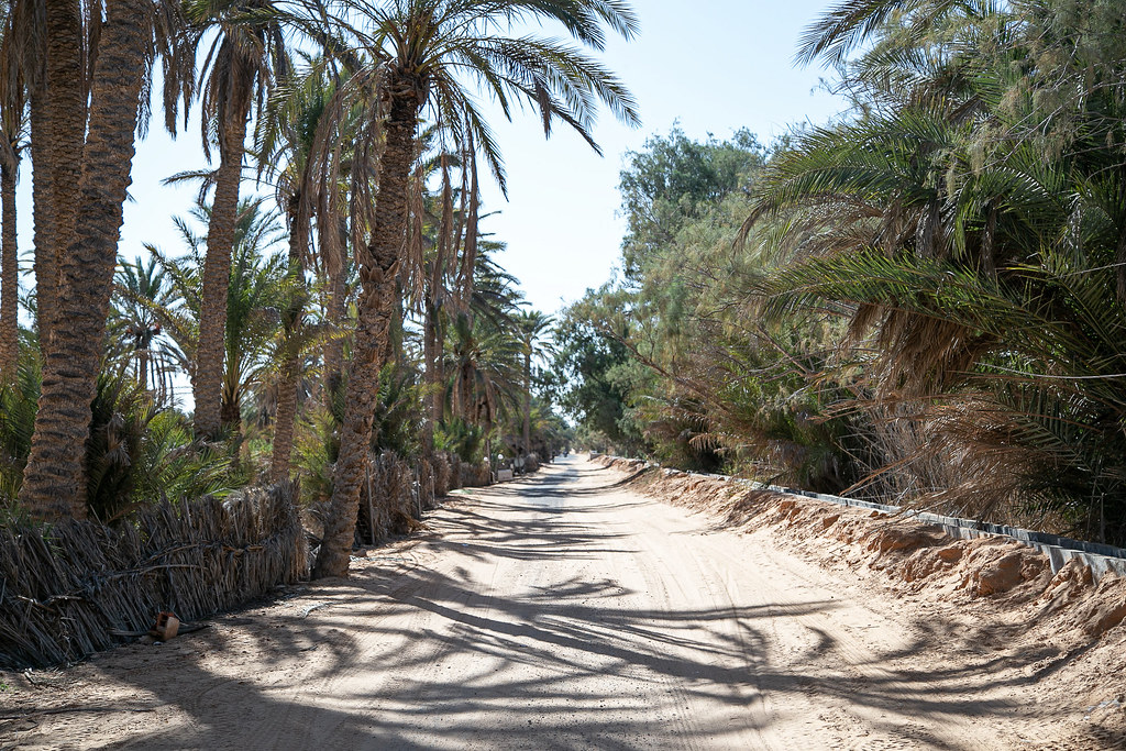 ISLA DE DJERBA, un tour en 17 taxis - Blogs de Tunez - DIA 3: LA GUERRA DE LAS GALAXIAS Y KSAR GHILANE (16)