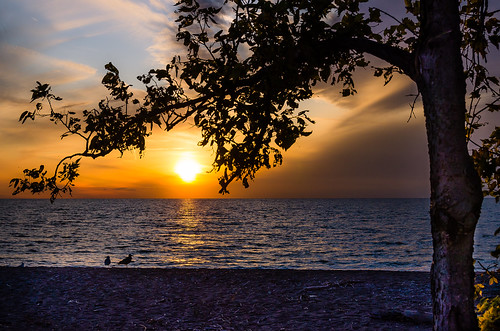 2019 canada lakeerie october ontario pointpelee fall sunset