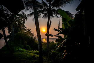 India - Kerala -Alappuzha - Sunrise - 4447