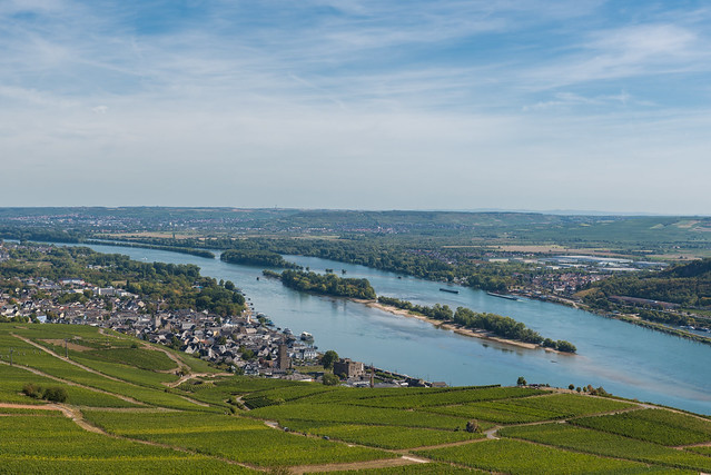 Über Rüdesheim am Rhein