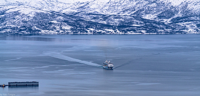 View of one more cruise ship breaking through thin ice into Tromso, Norway - 56