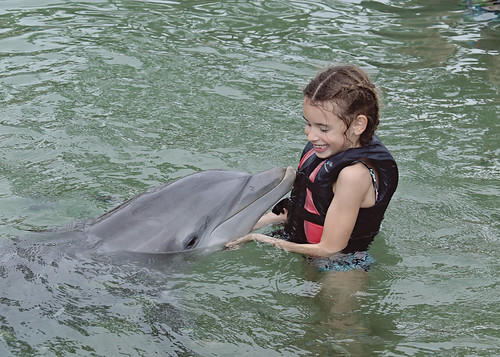 edited dolphin addie