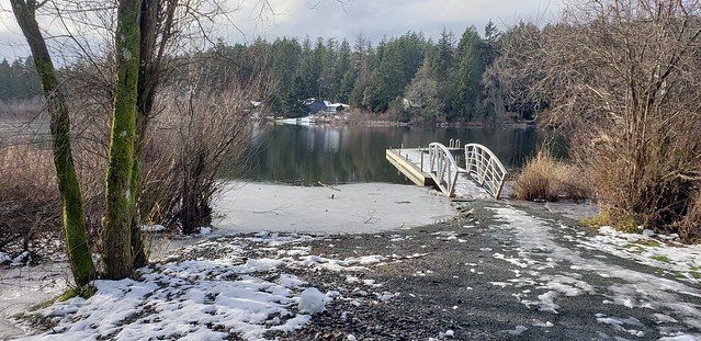Florence Lake, BC Swim-dock (not today)