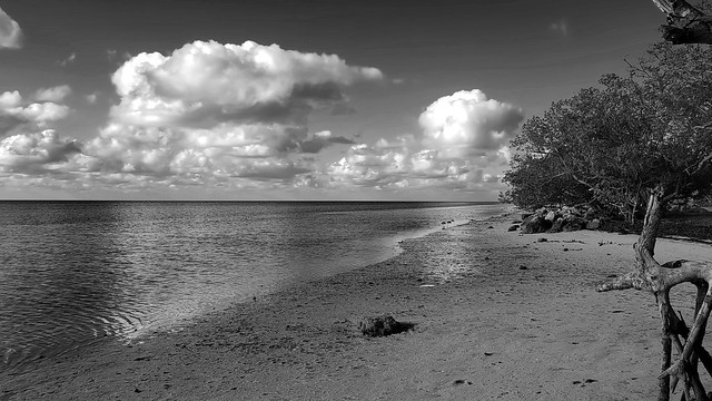 Low tide at Long Key State Park, Long Key, FL, USA