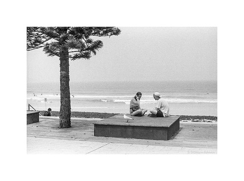 at the beach, Sdyney, summer 2020  #131 | by lynnb's snaps
