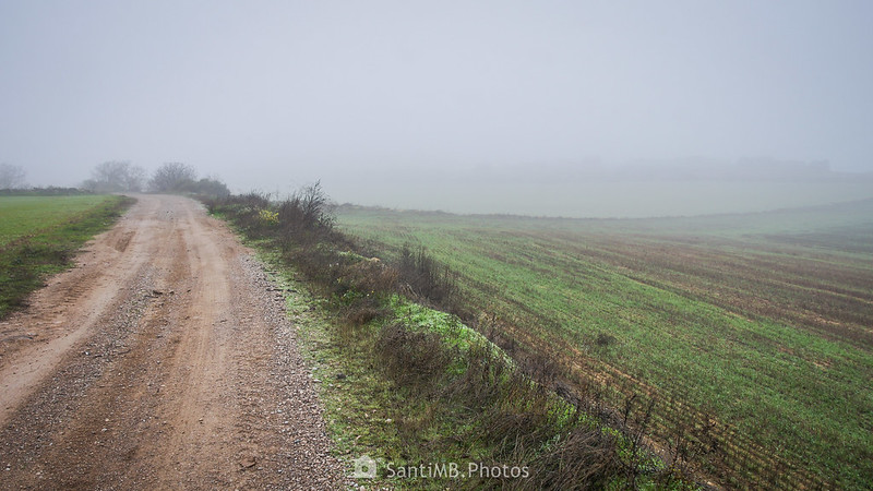 Niebla densa en el camino de Guimerà a Verdú
