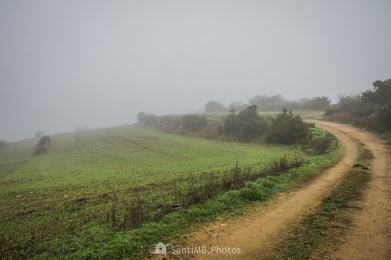 Niebla en el camino a Mas de Bondia