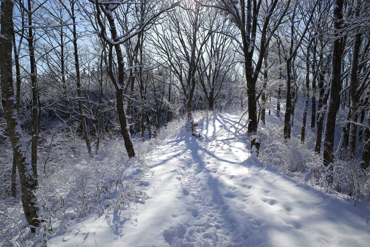 陣馬山～高尾山　雪山登山