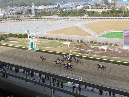姫路競馬場の特観席のレース風景