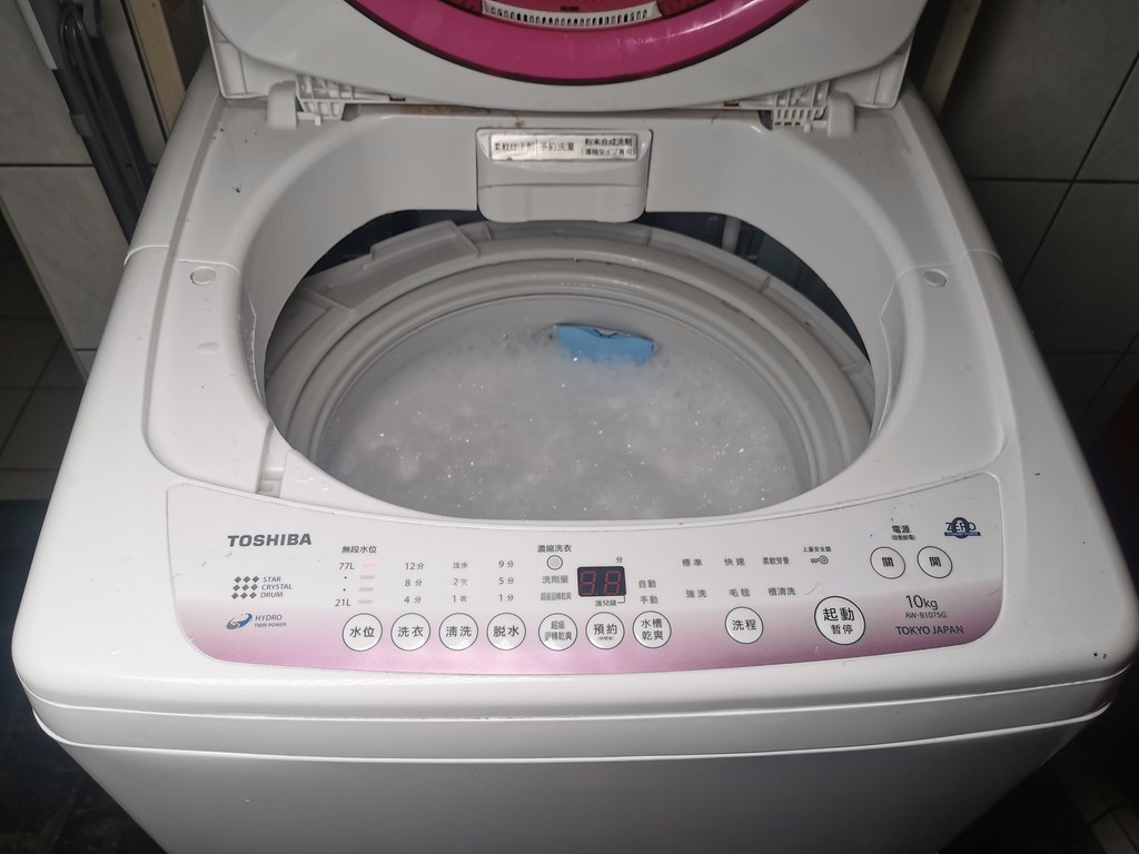 萊悠諾洗衣機清潔劑 (34)