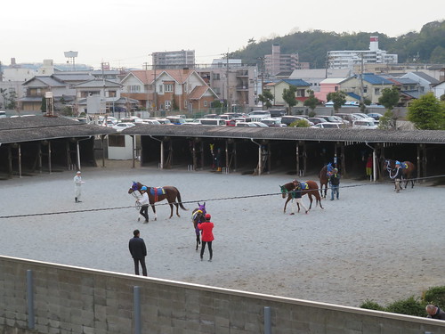 姫路競馬場の次のレースに出る馬
