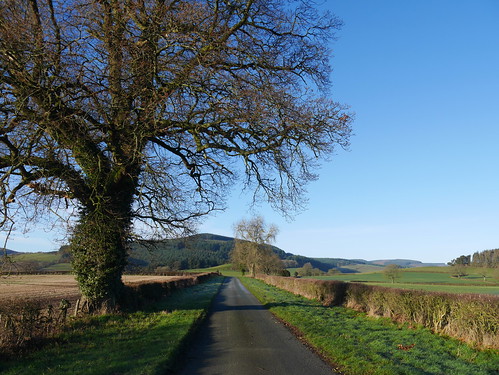 Approach to Hopton Castle