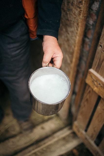 A farmer holding a bowl of fresh goat milk