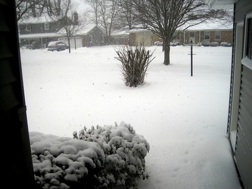 looking out our front door this morning