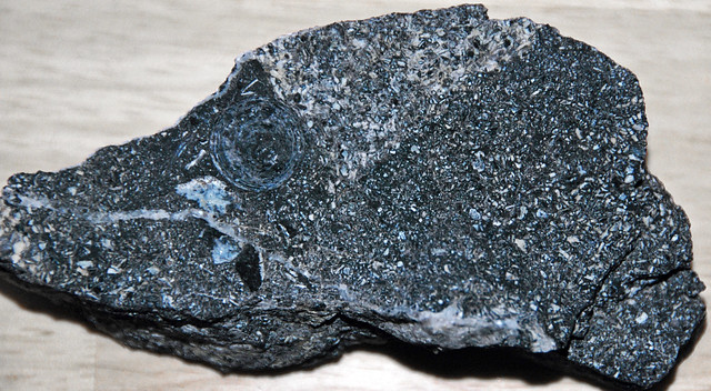 Fossiliferous phosphorite (Fish Scale Marker Bed, Meade Peak Member, Phosphoria Formation, Permian; Idaho, USA) 2
