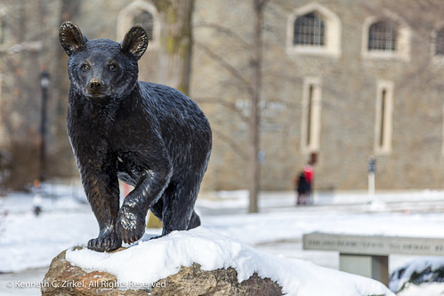 Touchdown statue at Cornell University