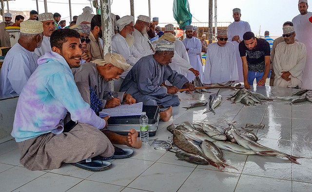 Au marché aux poissons, Barka, Oman