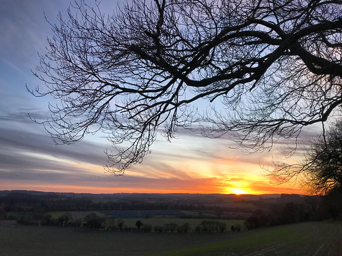 trees clouds fields sundown sunset hangers way east worldham alton hampshire winter january 2020