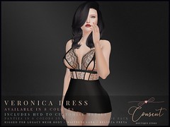 [ CONSENT ]  Veronica Dress