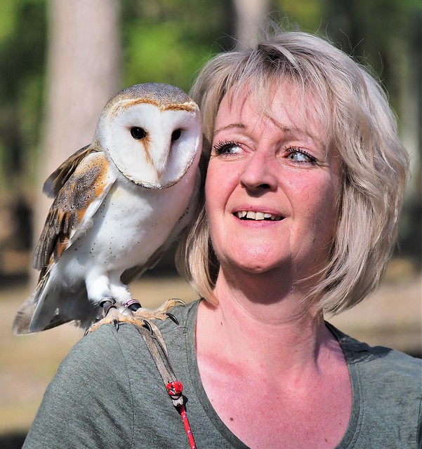 Germany - Animal Park in Klein-Auheim in the Falconry - April 2019
