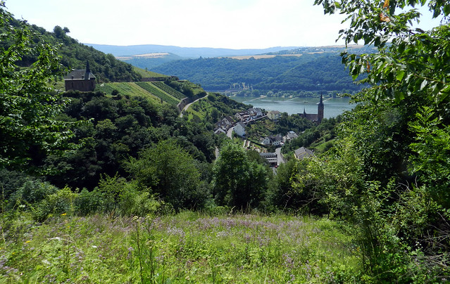 vista de Lorch Valle del Rin Alemania 04