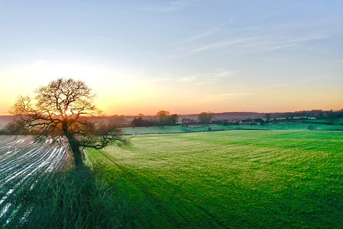 gnosall england midlands uk staffordshire stafford mavic mavicpro2 2020 treesdiestandingup flickr