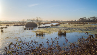 Flooded & Frozen Fields