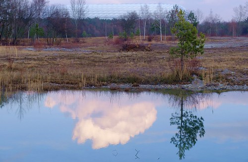 germany deutschland bayern bavaria fröttmaningerheide nature natur landscape landschaft reflection mirror puddle pond tree baum cloud wolke sky himmel winter ©allrightsreserved