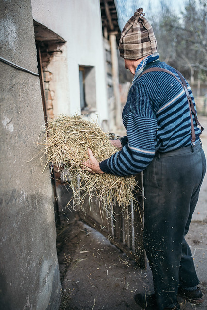 A farmer bringing hay into the stable