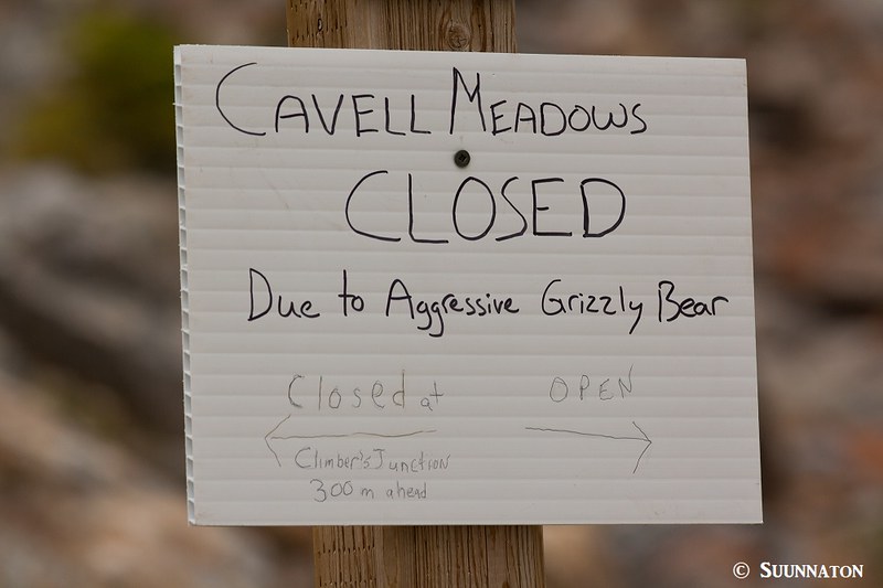 Grizzlyvaroitus, MtEdith Cavell