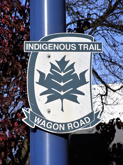 Indigenous Trail Wagon Road