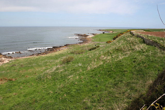 The Fife Coast Path near Boarhills