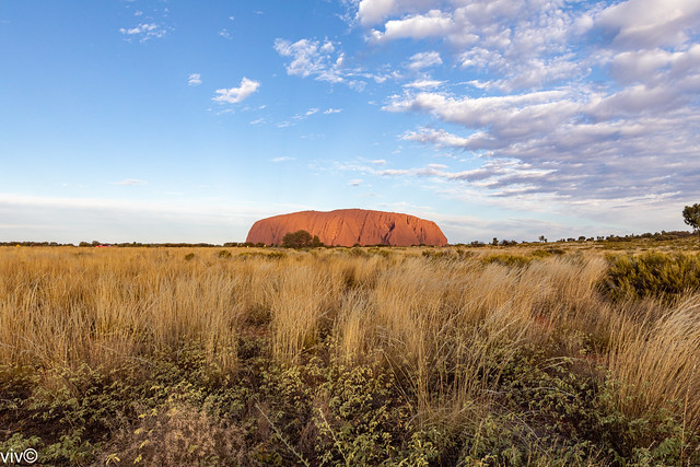 Ayers Rock as dawn draws, Uluru, Northern Territory, Australia