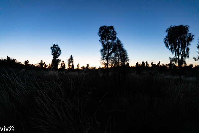 Scenic sunrise, Uluru, Northern Territory, Australia