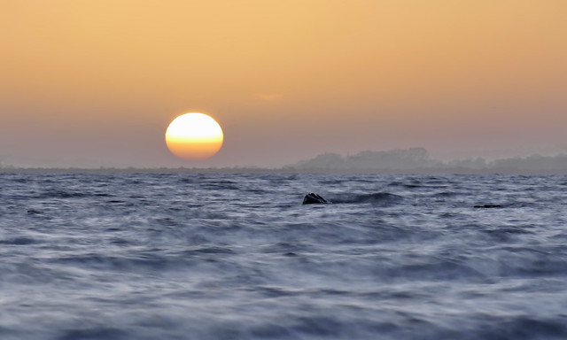 Sonnenuntergang über der Insel Hiddensee