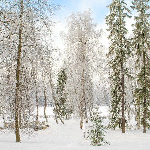 Русская Зима в Гатчине. Фотография Дарьи Меркуловой