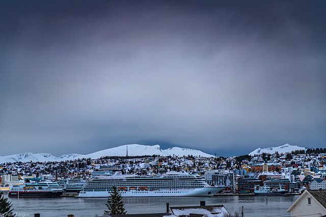 On a gloomy day, view of Viking Sky docked in the city of Tromso, Norway - 72