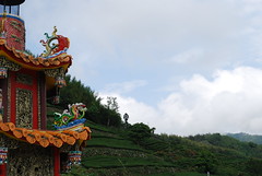 Le Temple avoisinant les jardins de M. Chen