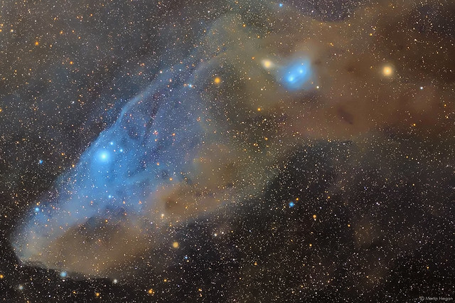 The Blue Horsehead Nebula