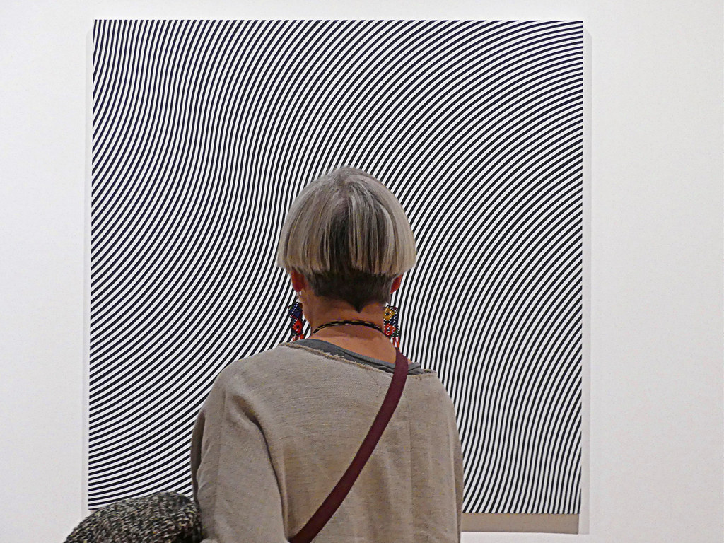 Over Bridget Riley Mesmerised by Bridget Riley's artwork 'Over' (1 of 5) | Flickr