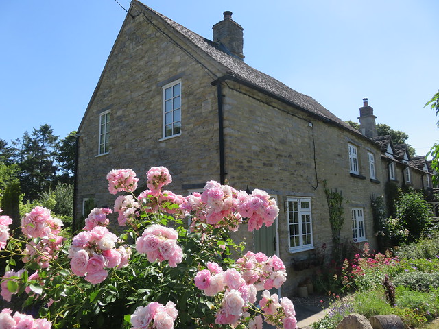 UK - Oxfordshire - Hanborough - Cottage with pink roses