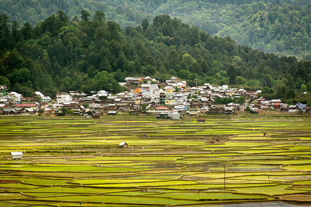 Ziro Valley, Arunachal Pradesh, India
