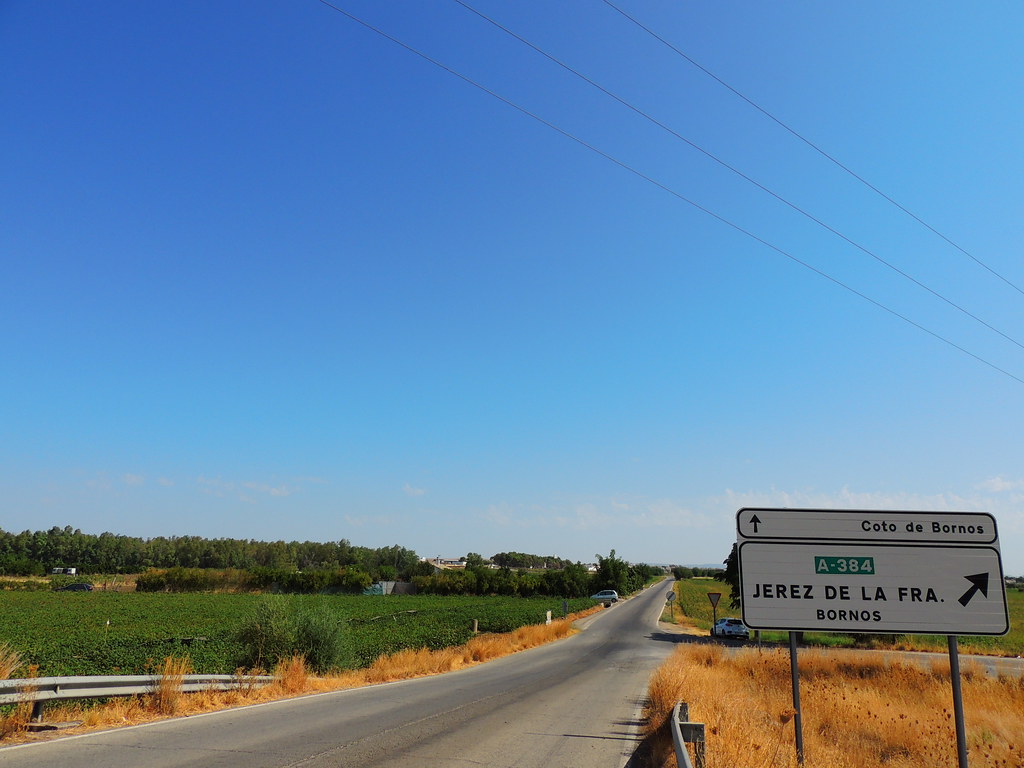 <Carretera llegada> Coto de Bornos (Cádiz)