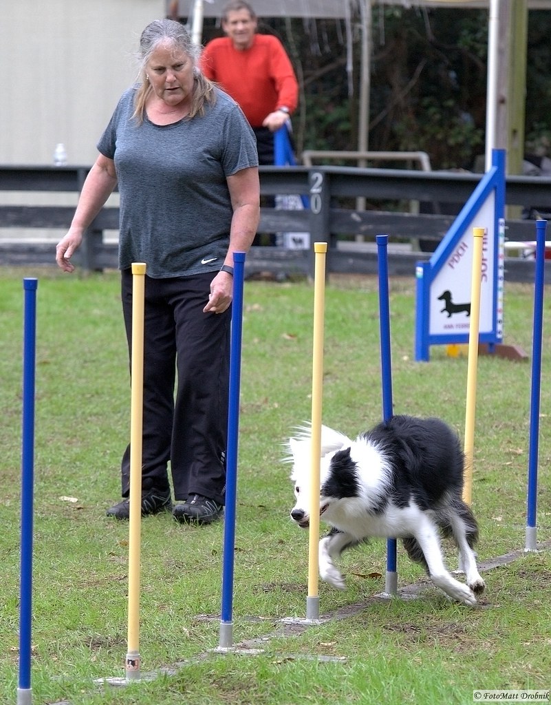 LCDA Agility Trial 19 JAN 2020 | Sunday is funday with LCDA … | Flickr