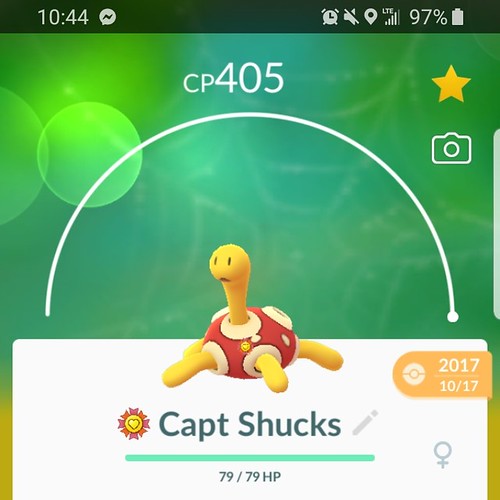 213_Shuckle