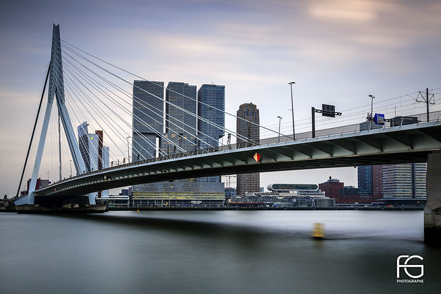 Pont Erasmus Rotterdam
