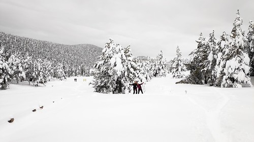 IMG_20200125_105453