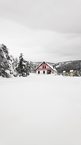 IMG_20200125_105300