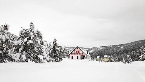 IMG_20200125_105250_1